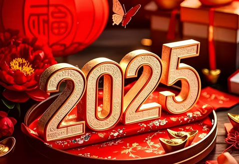 堅持熱愛,奔赴山海,你好,2025!你好，瑞泰風(fēng)